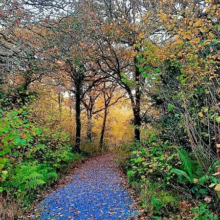 St John's 3* ロスコモン