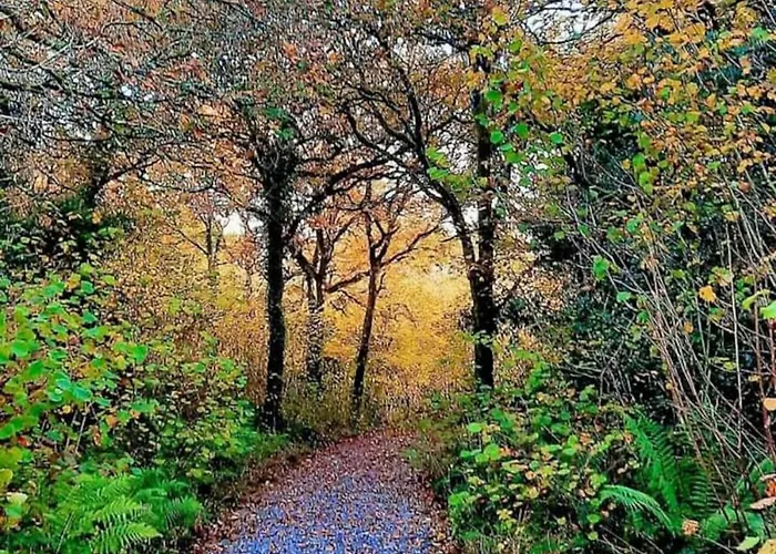 St John's 3* Roscommon